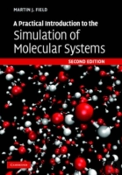 Bertrand.pt - A Practical Introduction To The Simulation Of Molecular Systems