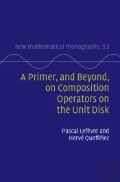 A Primer, And Beyond, On Composition Operators On The Unit Disk