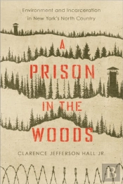 A Prison In The Woods