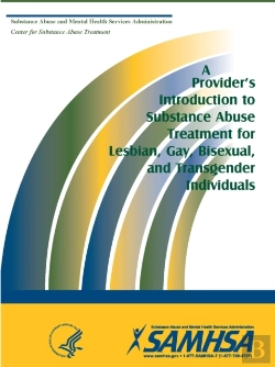 Bertrand.pt - A Provider'S Introduction To Substance A