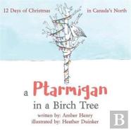 A Ptarmigan In A Birch Tree