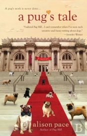 A Pug'S Tale