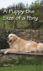 A Puppy The Size Of A Pony