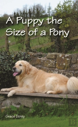 Bertrand.pt - A Puppy The Size Of A Pony