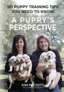A Puppy'S Perspective