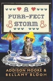 A Purr-Fect Storm