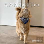 A Purrrfect Time
