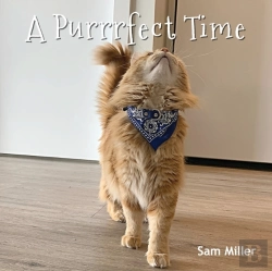 Bertrand.pt - A Purrrfect Time