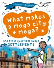 A Question Of Geography: What Makes A Mega City Mega?