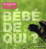 A Qui Est Ce Bebe?