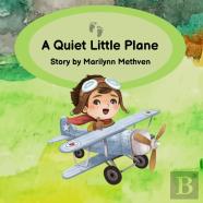 A Quiet Little Plane