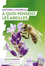 À Quoi Pensent Les Abeilles ?