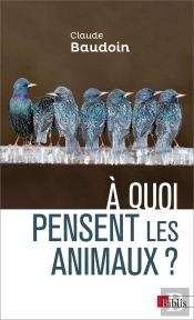 À Quoi Pensent Les Animaux ?