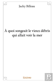 À Quoi Songeait Le Vieux Débris Qui Allait Voir La Mer