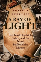 A Ray Of Light