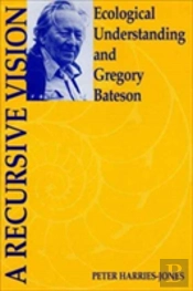 A Recursive Vision