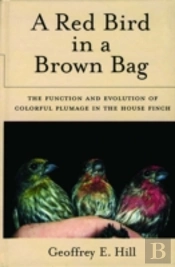 A Red Bird In A Brown Bag