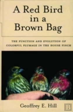 Bertrand.pt - A Red Bird In A Brown Bag