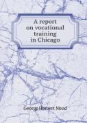 A Report On Vocational Training In Chicago