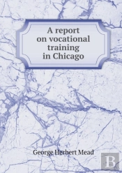 A Report On Vocational Training In Chicago