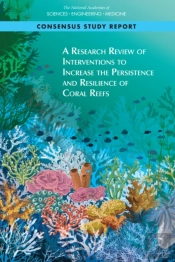 A Research Review Of Interventions To Increase The Persistence And Resilience Of Coral Reefs