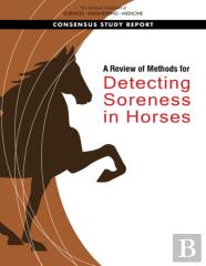 A Review Of Methods For Detecting Soreness In Horses