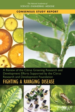 Bertrand.pt - A Review Of The Citrus Greening Research And Development Efforts Supported By The Citrus Research And Development Foundation