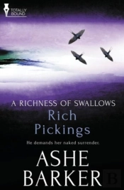 A Richness Of Swallows: Rich Pickings