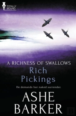 Bertrand.pt - A Richness Of Swallows: Rich Pickings
