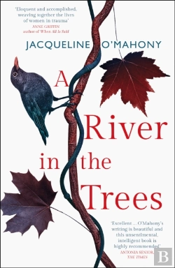 Bertrand.pt - A River In The Trees