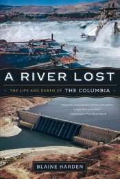 A River Lost