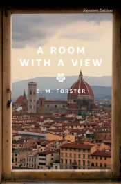 A Room With A View