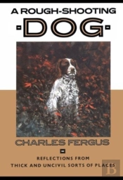 A Rough-Shooting Dog