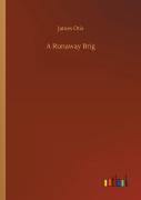 A Runaway Brig