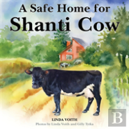 A Safe Home For Shanti Cow