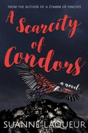 A Scarcity Of Condors