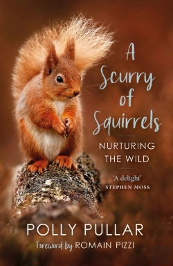 Bertrand.pt - A Scurry Of Squirrels