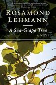 A Sea-Grape Tree