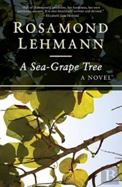 A Sea-Grape Tree
