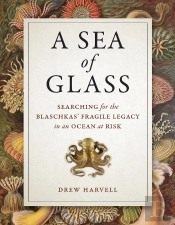 A Sea Of Glass