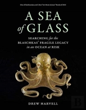 A Sea Of Glass