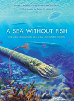 Bertrand.pt - A Sea Without Fish