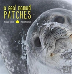 Bertrand.pt - A Seal Named Patches