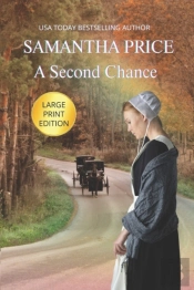 A Second Chance Large Print