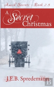 A Secret Christmas