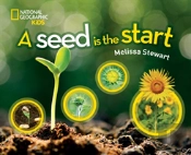 A Seed Is The Start