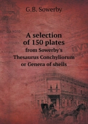 A Selection Of 150 Plates From Sowerby'S Thesaurus Conchyliorum Or Genera Of Shells