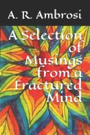 A Selection Of Musings From A Fractured Mind