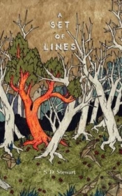 A Set Of Lines