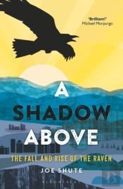 A Shadow Above